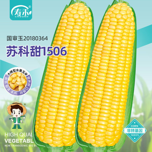 超甜水果玉米生食熟食都好吃