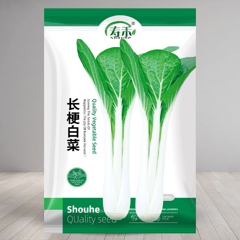 高脚白菜种子四季菜种大全