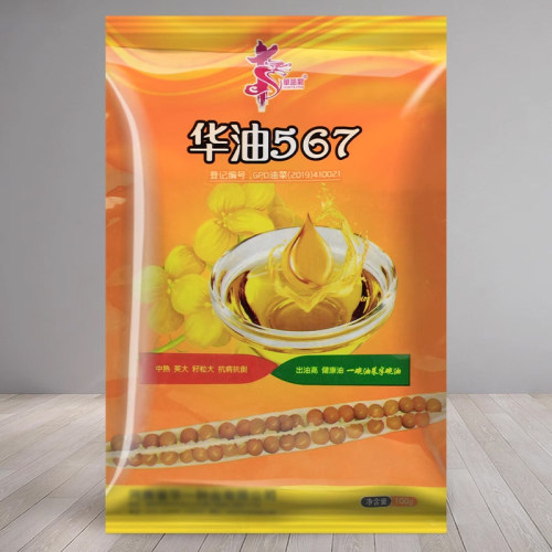 杂交矮杆种子油菜籽四季