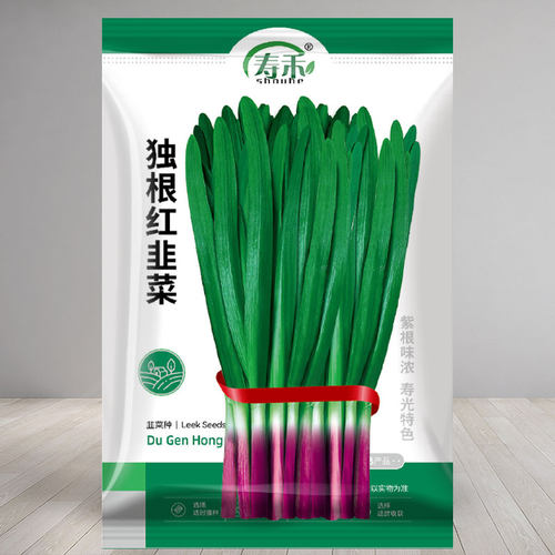 韭菜种子寿禾独根红韭菜