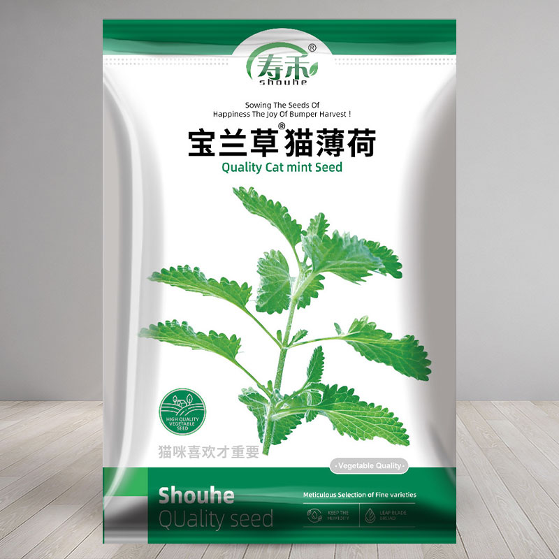 四季盆栽薄荷种子大全