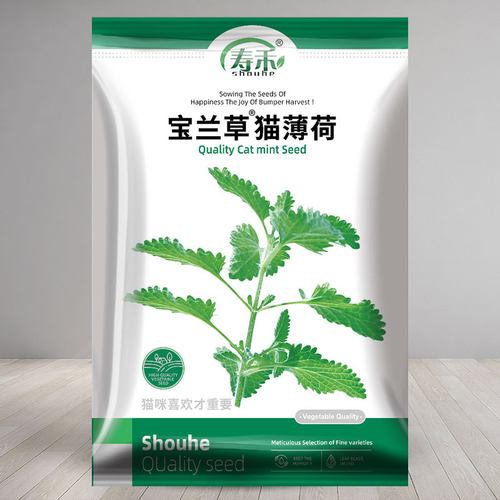 四季盆栽薄荷种子大全