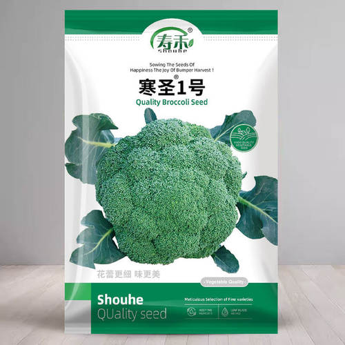 西兰花种子西兰花种籽孑青花菜秧蔬菜花菜种子苗菜花秧苗花苗种籽