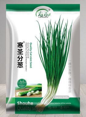 寒圣分葱种子苗小香葱种籽阳台盆栽葱苗孑种子分葱葱小葱种孑菜籽
