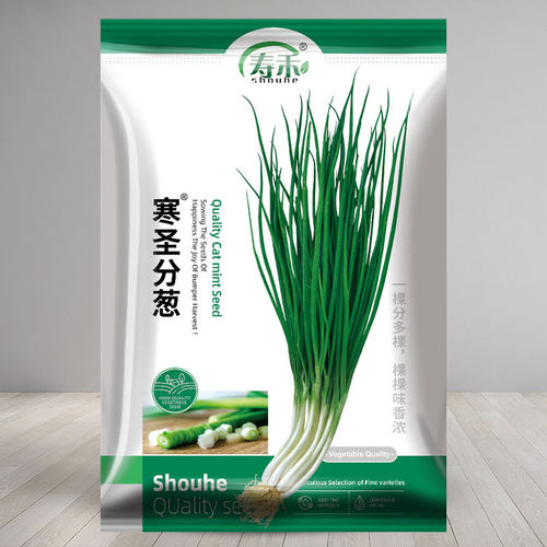 寒圣分葱种子苗小香葱种籽