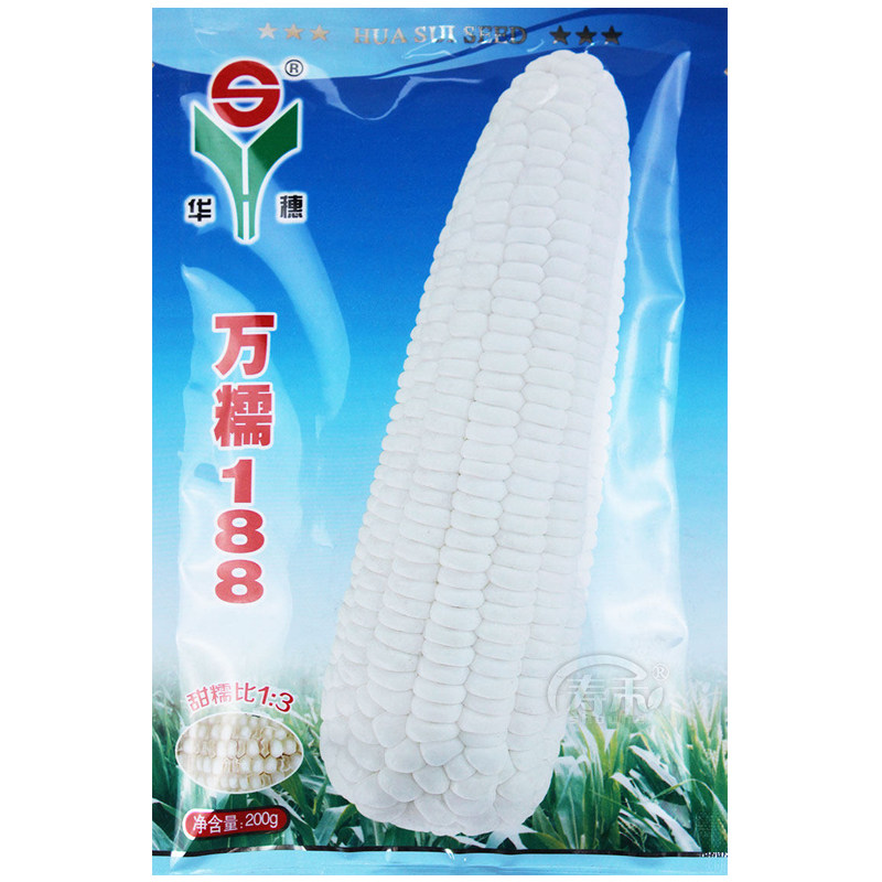 万糯188白甜糯玉米种子甜味糯粘糯高产杂交优质特大甜玉米种籽孑