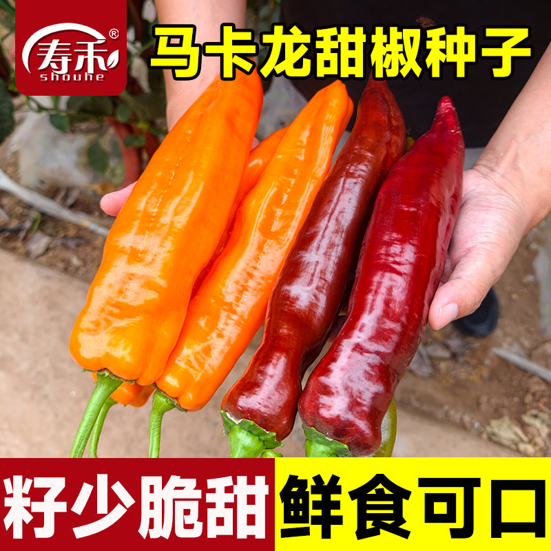绿亨马卡龙甜椒辣椒种子羊角椒种籽菜籽甜椒四季蔬菜阳台盆栽籽种
