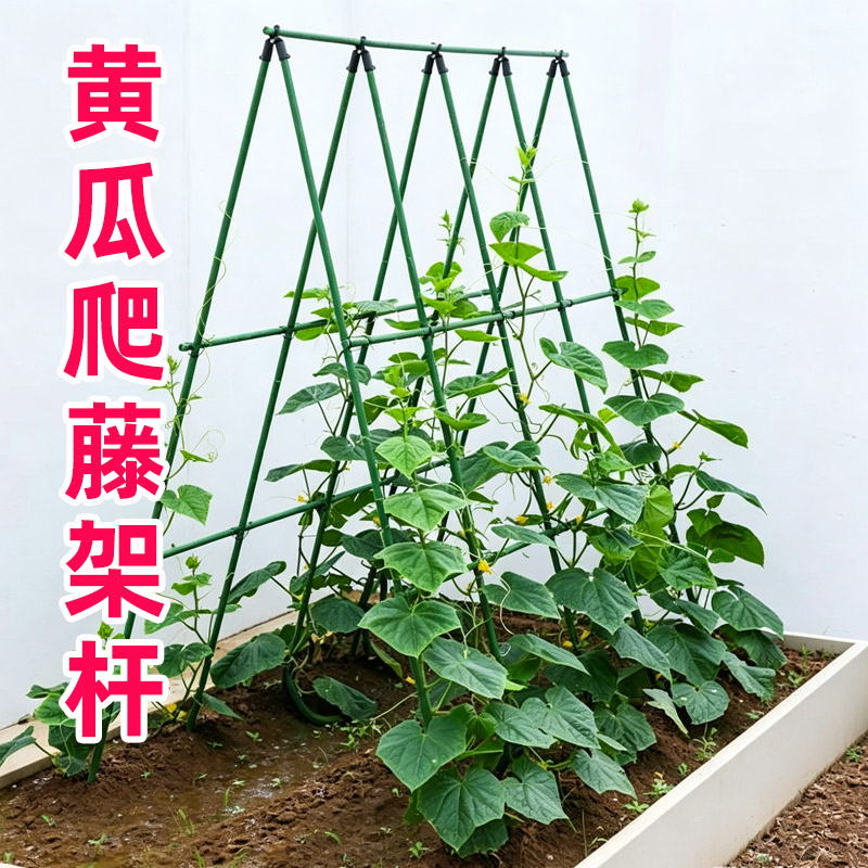 黄瓜爬藤架支撑杆菜园植物架子豆角芸豆蔬菜搭架专用攀爬架杆园艺图片