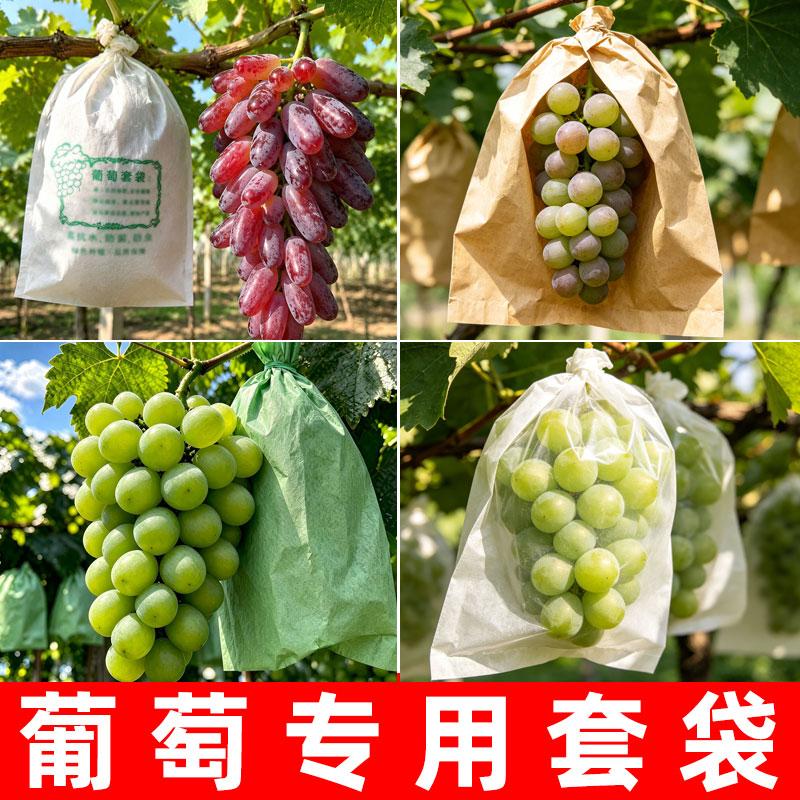 葡萄套袋专用袋阳光玫瑰透明防虫纸袋露天枇杷苹果水果柚子蜜柚