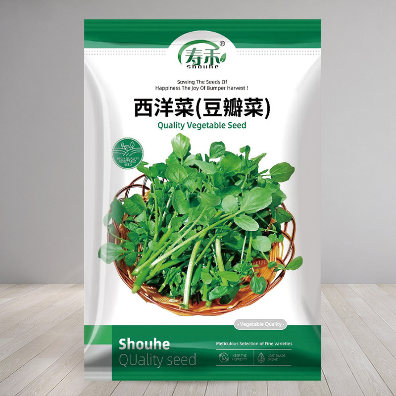 西洋菜种籽四季广东青菜种子图片