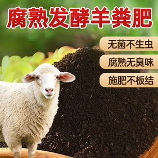 种菜羊粪肥有机肥发酵羊粪蛋鸡粪肥腐熟肥料种蔬菜大包专用花肥