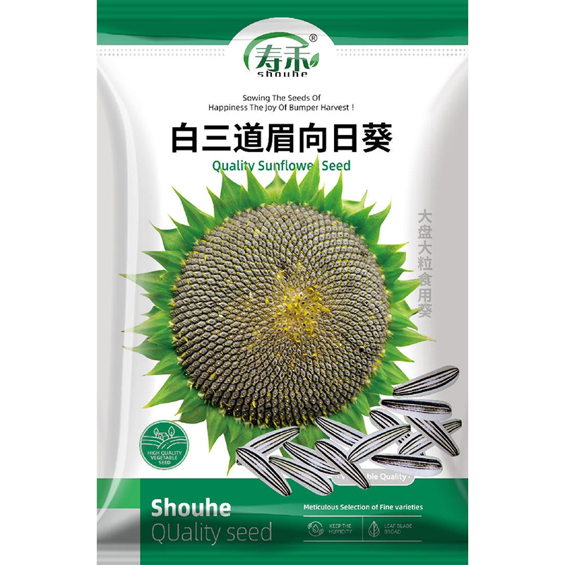 食用向日葵种子白三道眉向日葵种籽葵花油葵观赏盆栽籽种孑花苗