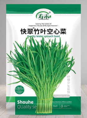 翠绿竹叶空心菜种子种籽苗四季菜苗江西春季柳叶菜籽水孑籽种菜种