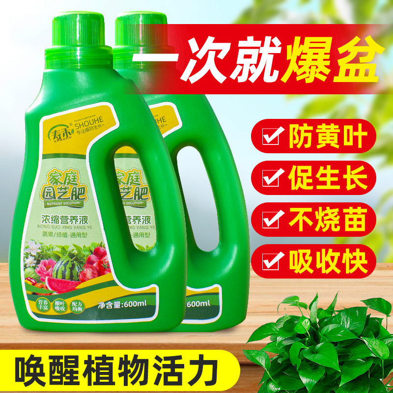 植物营养液专用蔬菜苗番茄黄瓜辣椒茄子家庭种菜通用型盆栽肥料