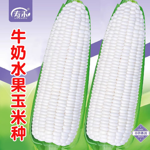 牛奶水果玉米种孑四季