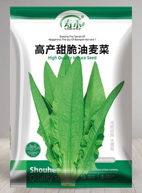 高产甜脆油麦菜种子香麦菜菜籽四季种籽孑菜种菜苗籽种