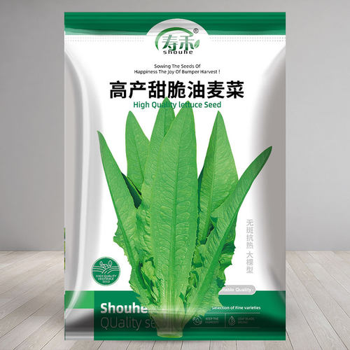 高产甜脆油麦菜种子四季
