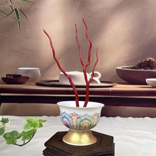 天然意大利黑牛血红珊瑚树摆件14.4克原色宝石阿卡沙丁科西嘉速