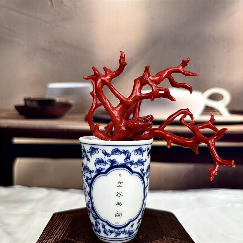 天然意大利科西卡珊瑚树摆件40克有机宝石阿卡沙丁牛血红科西嘉