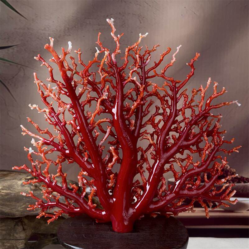 天然阿卡珊瑚树摆件354.1克原色有机宝石阿卡沙丁赤血红科西嘉