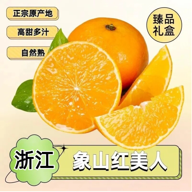 正宗浙江象山红美人柑橘当季果冻橙新鲜水果5斤礼盒孕妇无核桔子