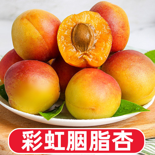 正宗现摘陕西彩虹胭脂杏