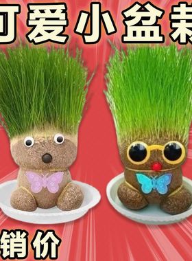 桌面儿童开花长草娃娃草头头上盆栽摆件同款室内阳台植物