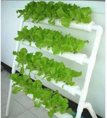 新店促销梯式家庭阳台水管花架幼儿园种菜机水培土栽培设种菜架在类目 鲜花速递/花卉仿真/绿植园艺, 花瓶/花器/花盆/花架（新）, 花架中 - 来自Buy2taobao.com提供专业的淘宝代购服务