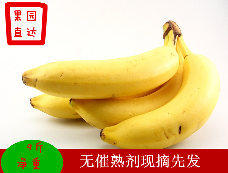 君懿农业新鲜的水果香蕉自然熟非云海南芭西小米皇帝粉西贡