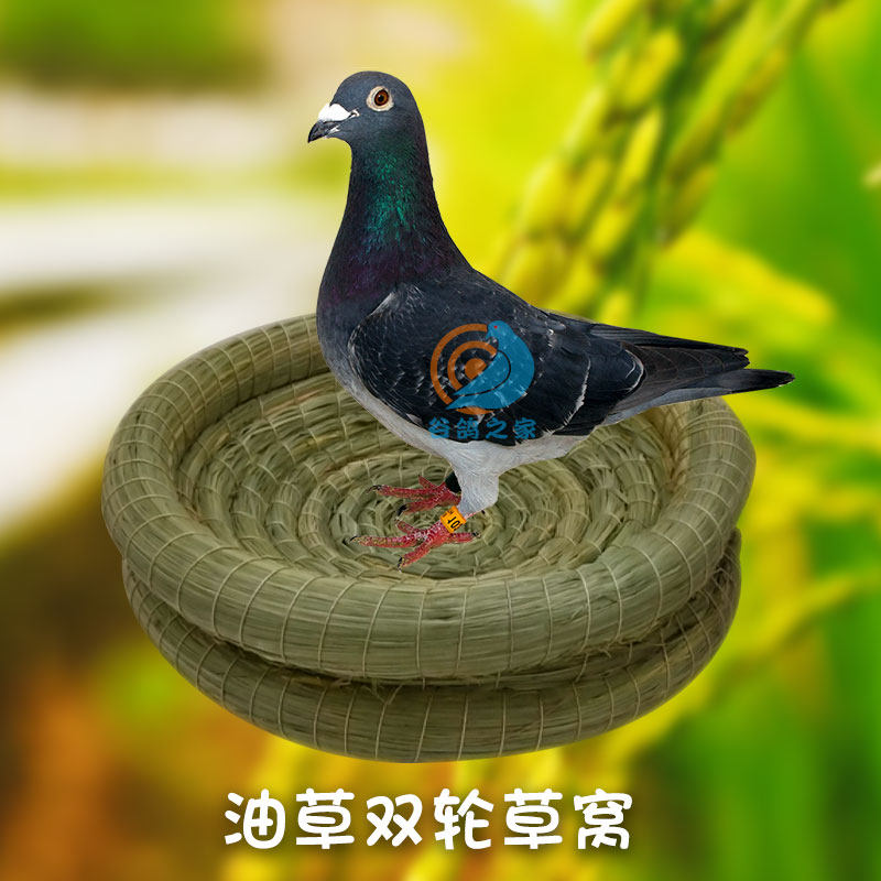 油草双轮稻草窝新款鸽子窝孵蛋专用草窝鸽子孵化窝斑鸠繁殖窝鸟窝