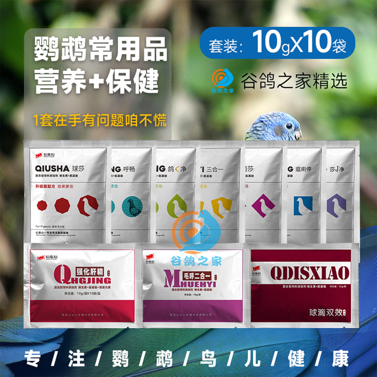 心连心鹦鹉营养保健品系列