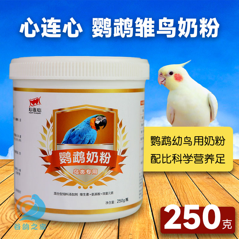 幼鸟玄凤虎皮小斑鸠鹦鹉奶粉鸽乳
