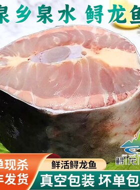 鲟龙鱼新鲜冷冻特大鲟鱼段鲟鳇鱼段软骨鱼老少皆宜顺丰快递不腥