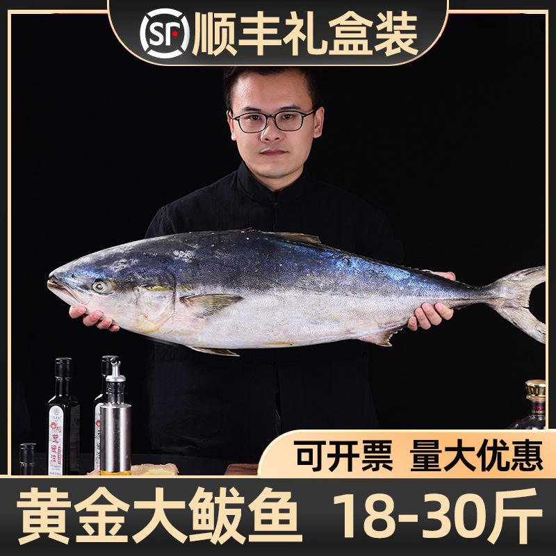 【顺丰上门】特大鲅鱼丨20-30斤