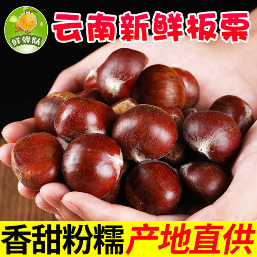 鲜蜂队云南鲁母板栗新鲜生板栗去毛球栗子板栗栗子