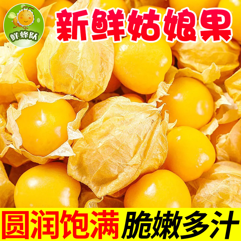 云南姑娘果灯笼果新鲜应季水果脆甜多汁当季新鲜水果