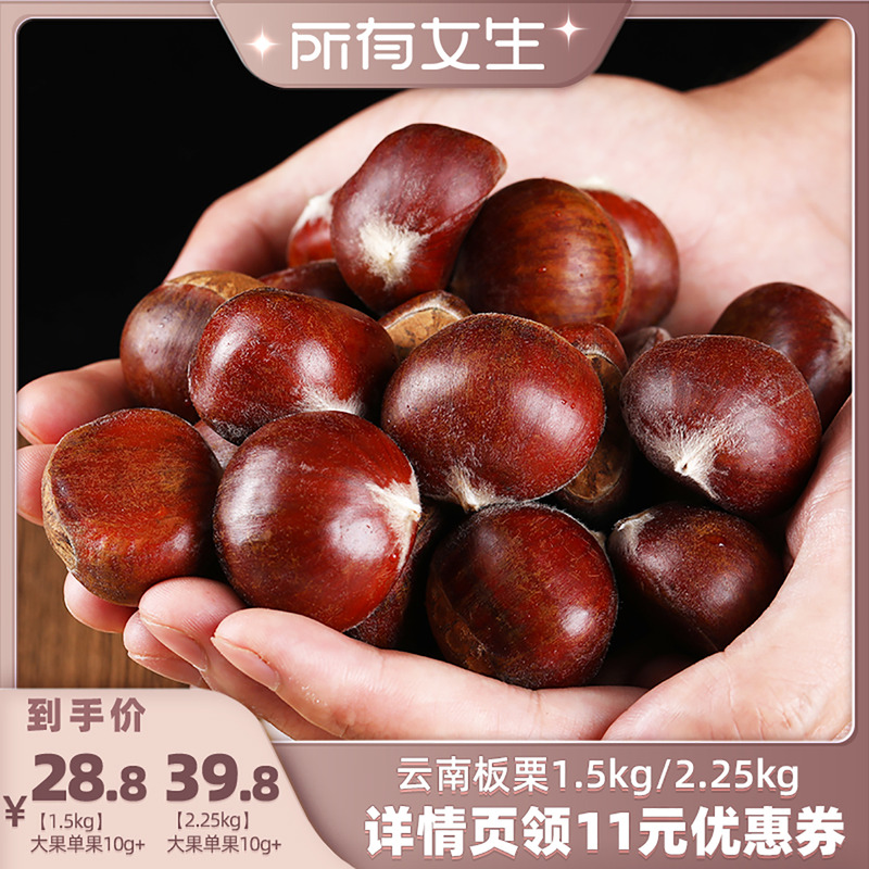 【所有女生直播间】云南鲁母板栗新鲜生板栗去毛球栗子生栗子