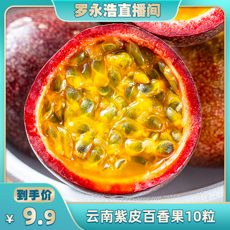 【罗永浩直播间】云南百香果新鲜紫色百香果紫皮百香果水果10粒