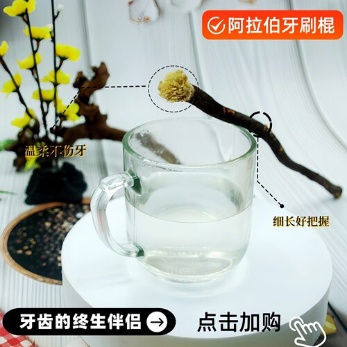 现货米斯瓦格miswak牙棒
