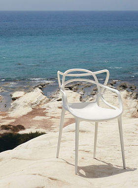 现代简约户外露营地野奢酒店庭院花园阳台洽谈休闲藤蔓猫耳餐椅子