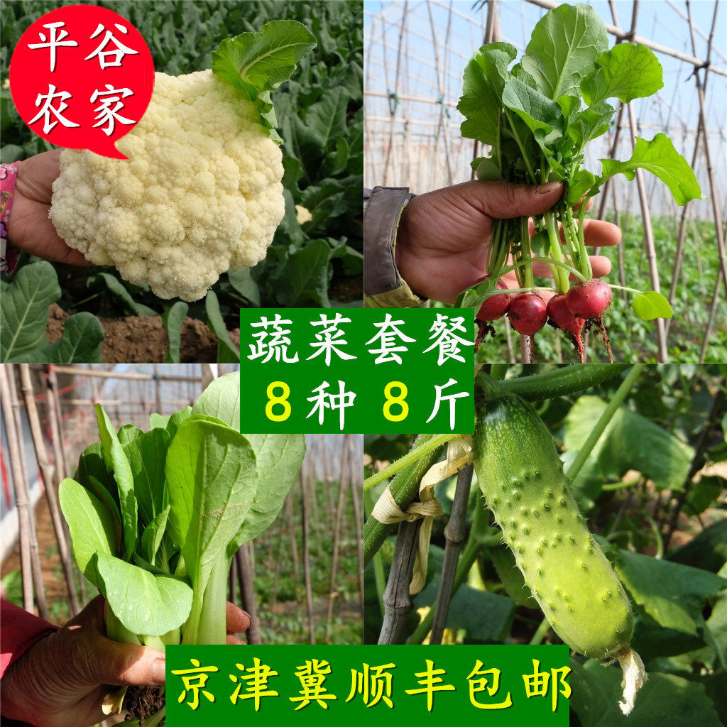 北京农家自种青菜新鲜蔬菜素菜当季时令生鲜蔬菜配送组合套餐包邮