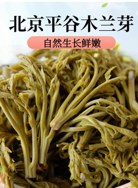 头道嫩芽木兰芽野菜北京平谷