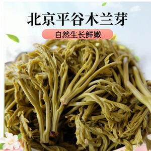 头道嫩芽木兰芽野菜北京平谷