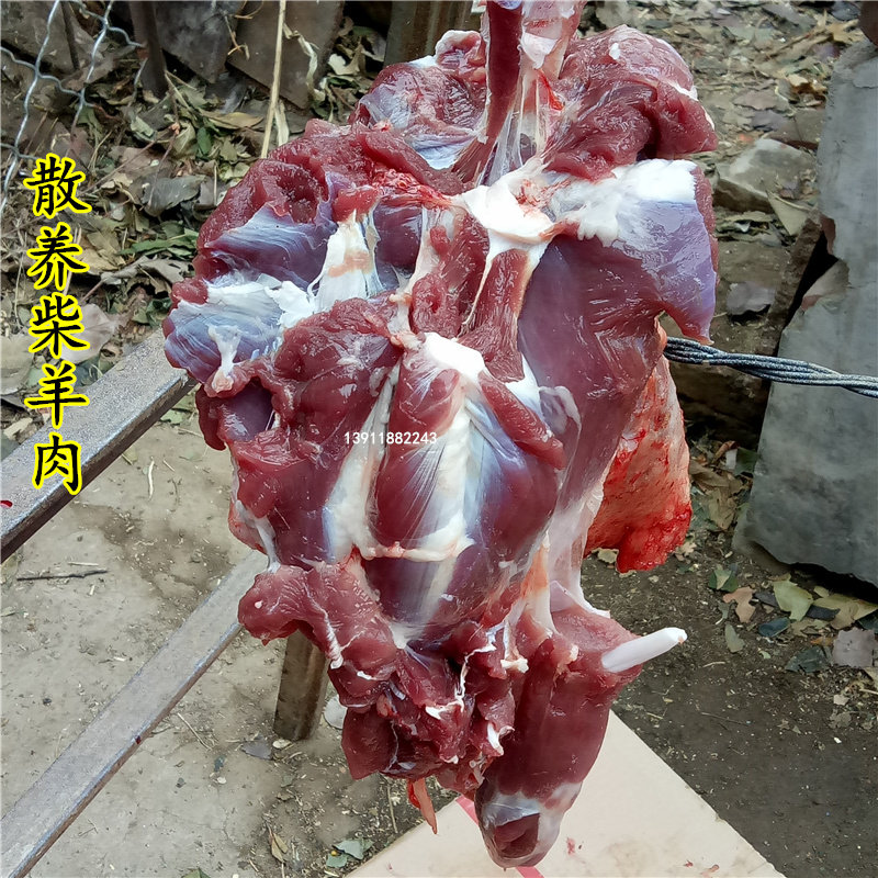 北京土特产农家散养羊肉新鲜土羊肉 生羊肉羊腿羊排羊蝎子年货