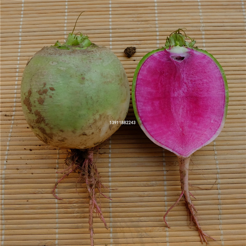 北京农家心里美萝卜新鲜蔬菜青皮红心萝卜脆甜生鲜时令可凉拌特产