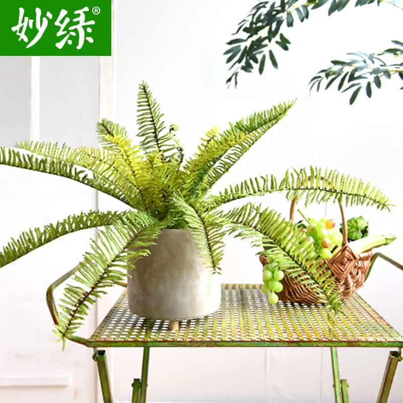 蕨类摆件电视柜室内装饰仿真植物