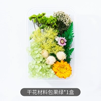 Сушеный цветочный материал сумка зеленый