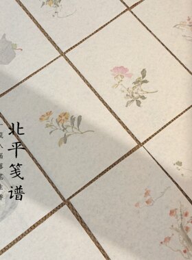 北平笺谱小楷毛笔书法专用纸