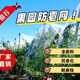 防雹网果园防鸟网樱桃葡萄嘉宝果树防小鸟网防冰雹网全新料抗老化