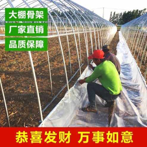 625/825型养殖塑料温室大棚骨架钢管大棚骨架配件蔬菜大棚设备在类目 鲜花速递/花卉仿真/绿植园艺, 园艺用品, 其它园艺用品中 - 来自Buy2taobao.com提供专业的淘宝代购服务